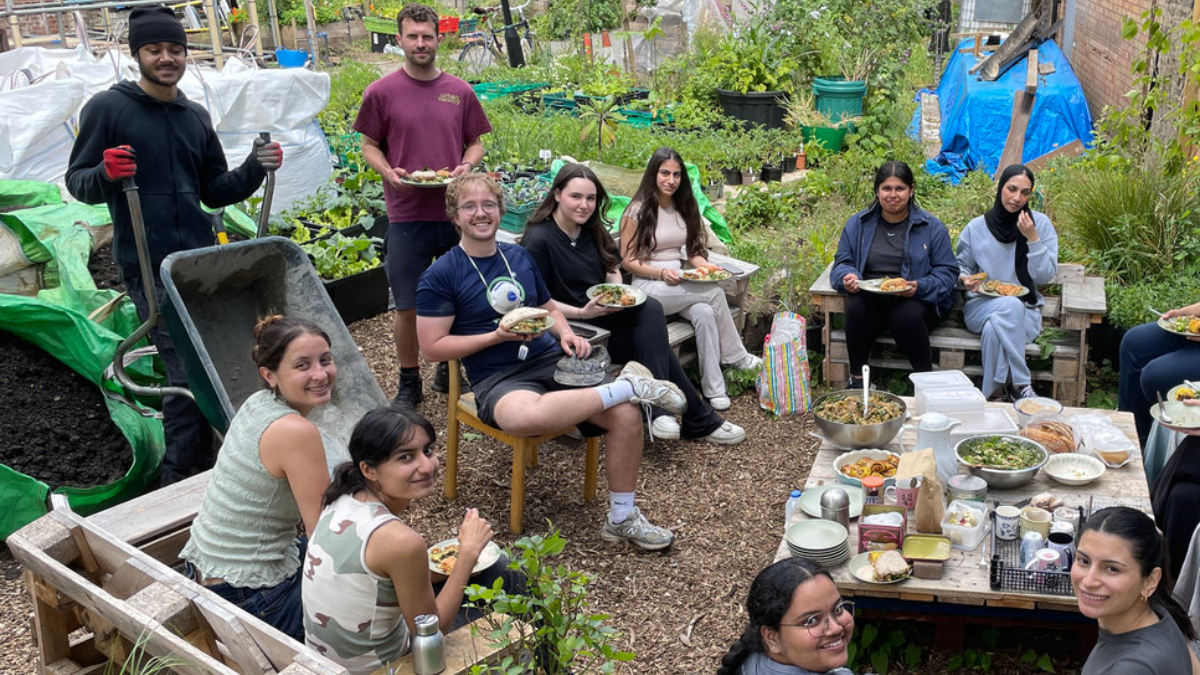 common-gardens-lsbu-farming