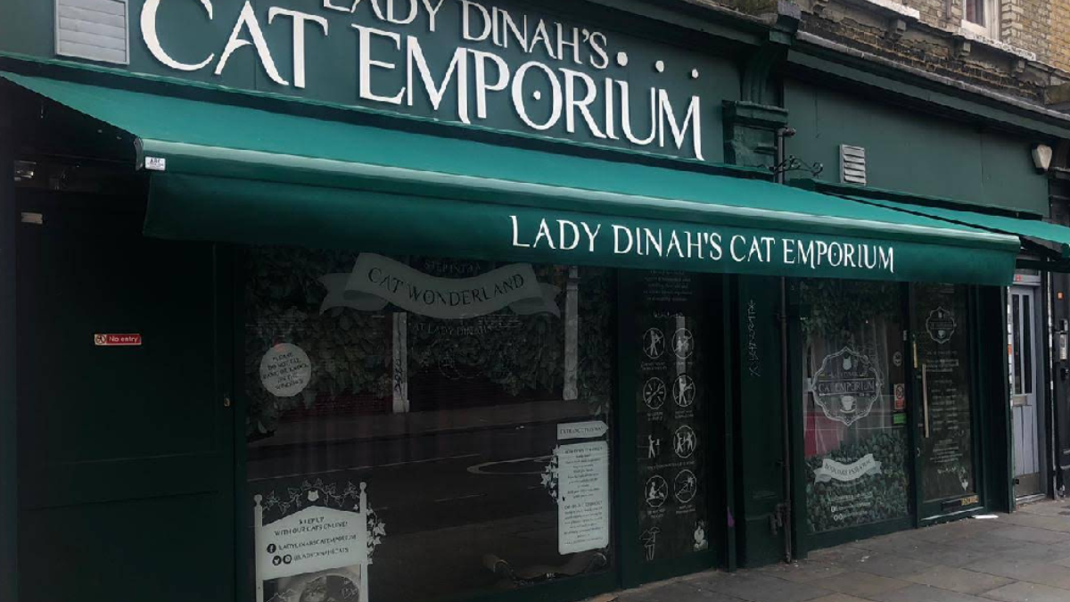 Lady Dinah's Cat Emporium