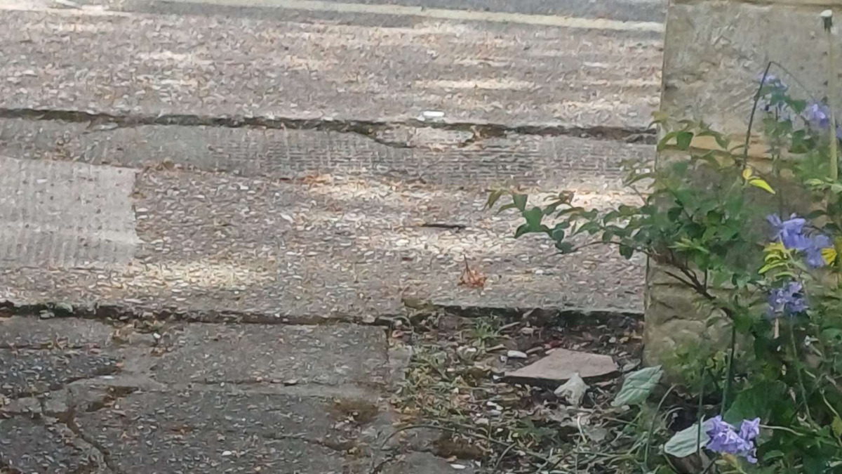 pavement